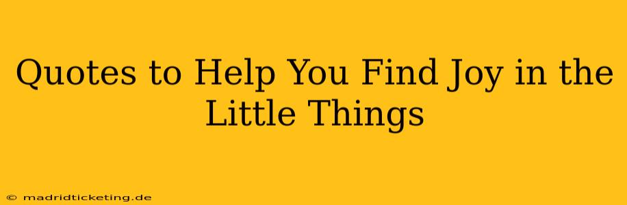 Quotes to Help You Find Joy in the Little Things
