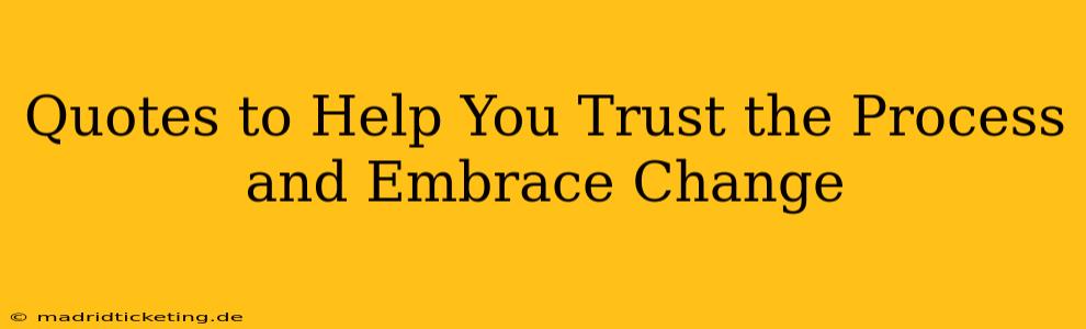 Quotes to Help You Trust the Process and Embrace Change