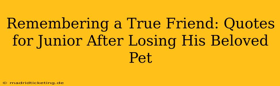 Remembering a True Friend: Quotes for Junior After Losing His Beloved Pet