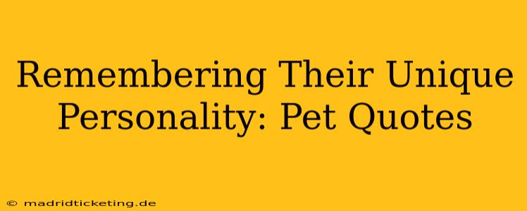 Remembering Their Unique Personality: Pet Quotes