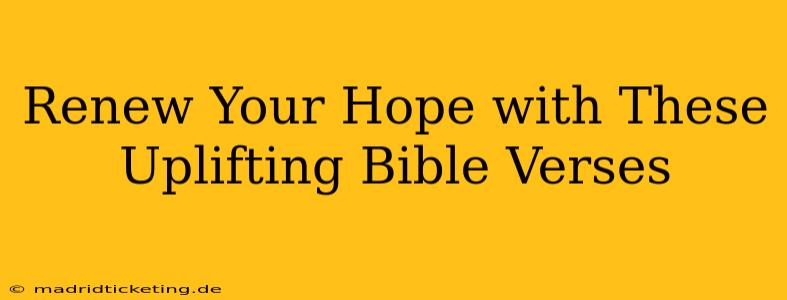 Renew Your Hope with These Uplifting Bible Verses