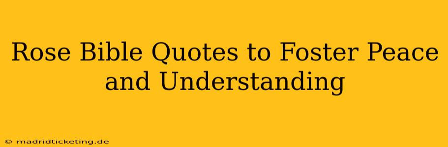 Rose Bible Quotes to Foster Peace and Understanding