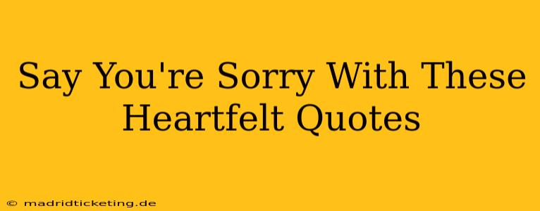 Say You're Sorry With These Heartfelt Quotes