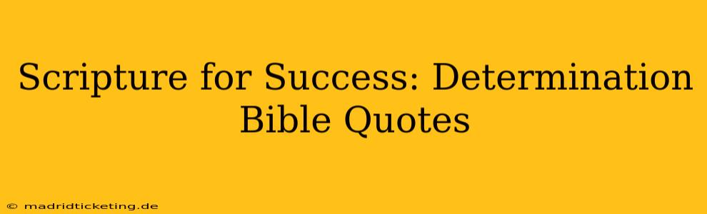 Scripture for Success: Determination Bible Quotes