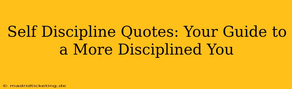 Self Discipline Quotes: Your Guide to a More Disciplined You