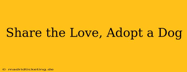 Share the Love, Adopt a Dog