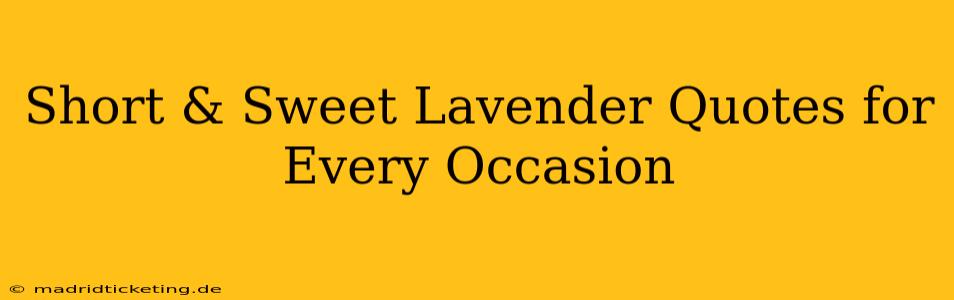 Short & Sweet Lavender Quotes for Every Occasion