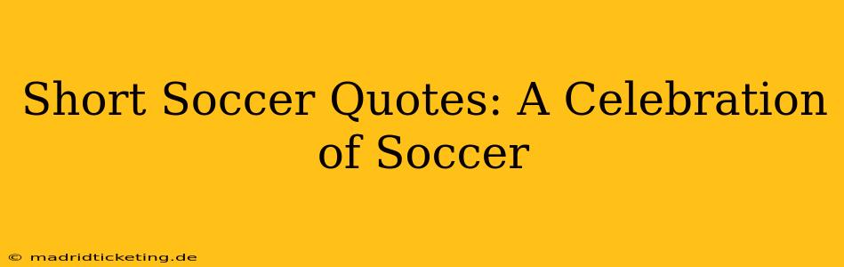 Short Soccer Quotes: A Celebration of Soccer