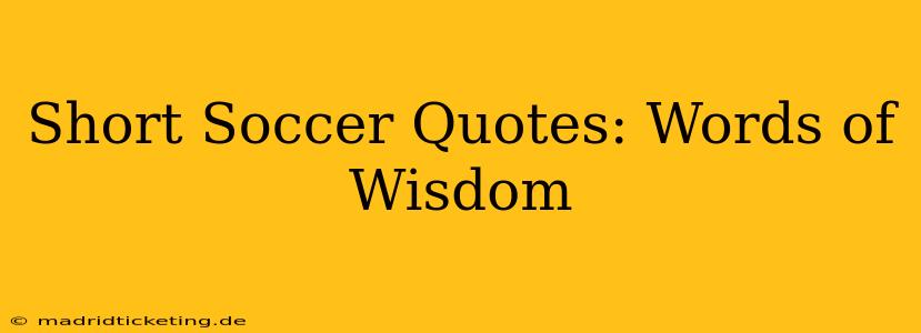 Short Soccer Quotes: Words of Wisdom