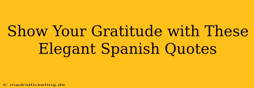 Show Your Gratitude with These Elegant Spanish Quotes