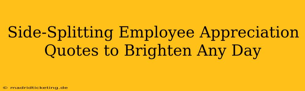 Side-Splitting Employee Appreciation Quotes to Brighten Any Day