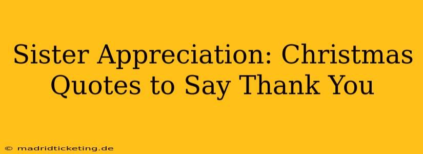 Sister Appreciation: Christmas Quotes to Say Thank You