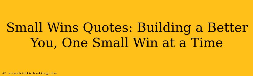 Small Wins Quotes: Building a Better You, One Small Win at a Time