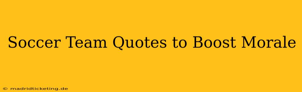 Soccer Team Quotes to Boost Morale