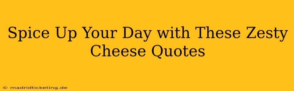 Spice Up Your Day with These Zesty Cheese Quotes