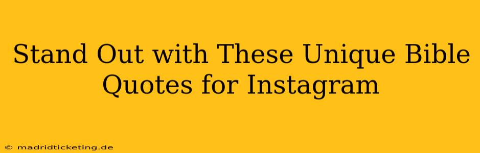 Stand Out with These Unique Bible Quotes for Instagram