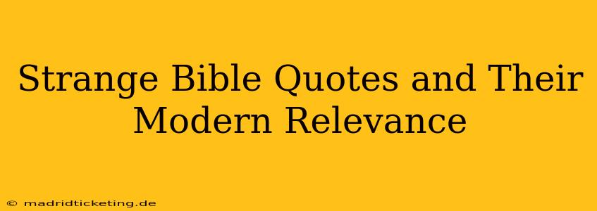 Strange Bible Quotes and Their Modern Relevance