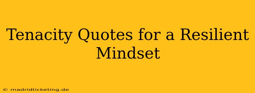 Tenacity Quotes for a Resilient Mindset