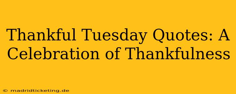 Thankful Tuesday Quotes: A Celebration of Thankfulness