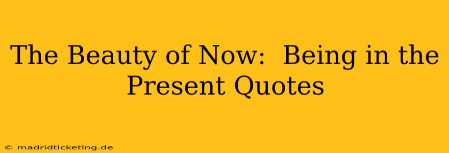 The Beauty of Now:  Being in the Present Quotes