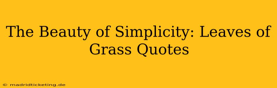 The Beauty of Simplicity: Leaves of Grass Quotes