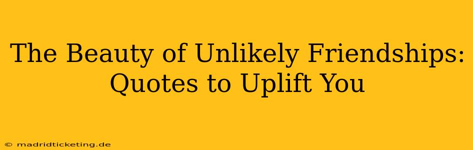 The Beauty of Unlikely Friendships: Quotes to Uplift You