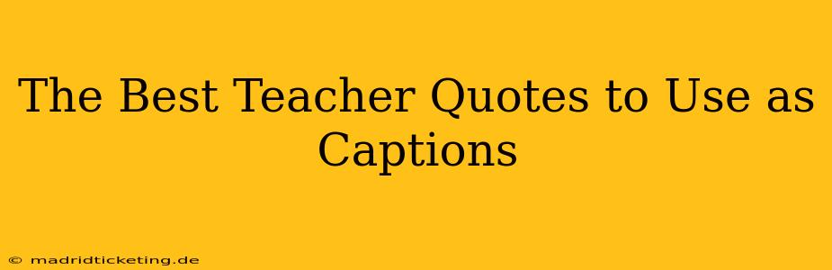 The Best Teacher Quotes to Use as Captions