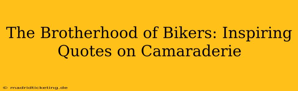 The Brotherhood of Bikers: Inspiring Quotes on Camaraderie