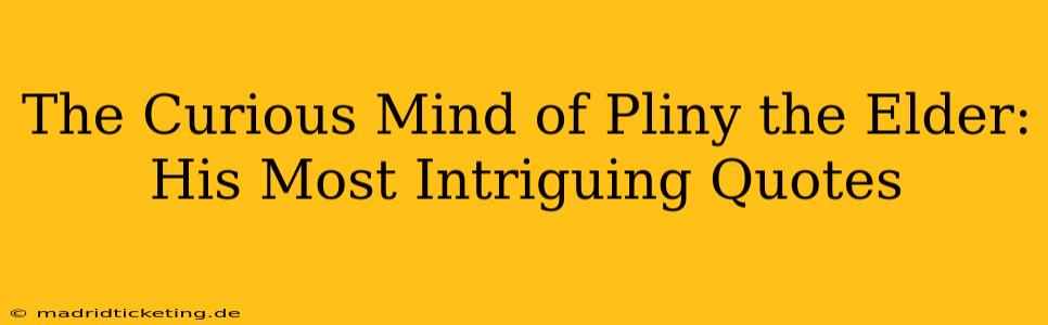 The Curious Mind of Pliny the Elder: His Most Intriguing Quotes