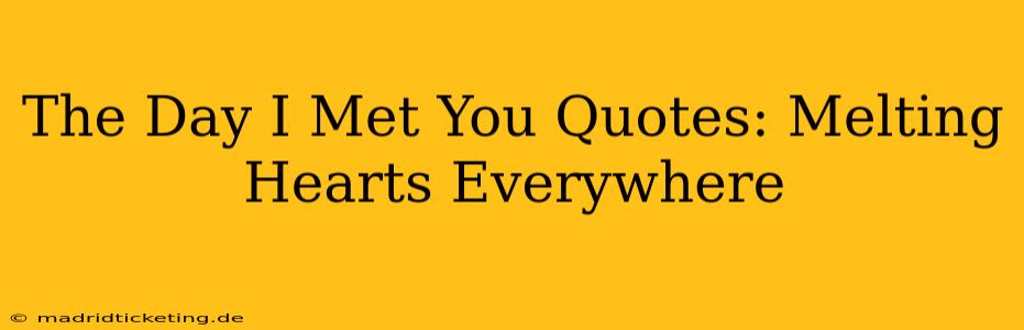 The Day I Met You Quotes: Melting Hearts Everywhere