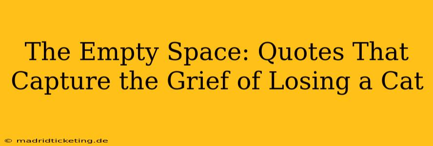 The Empty Space: Quotes That Capture the Grief of Losing a Cat
