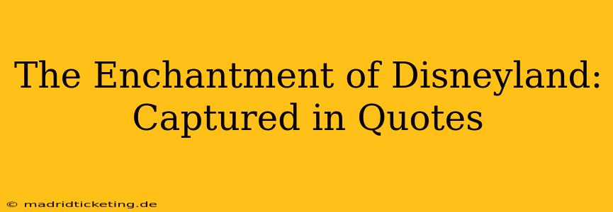 The Enchantment of Disneyland: Captured in Quotes