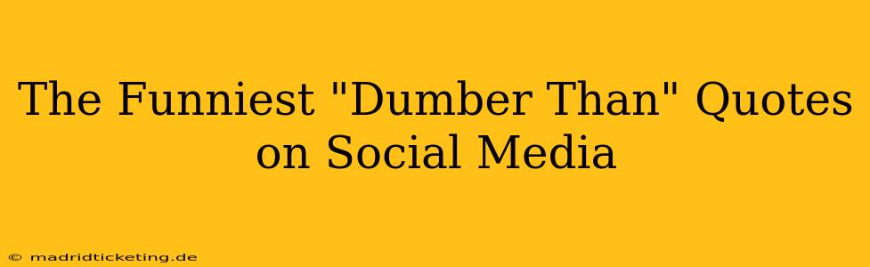 The Funniest "Dumber Than" Quotes on Social Media