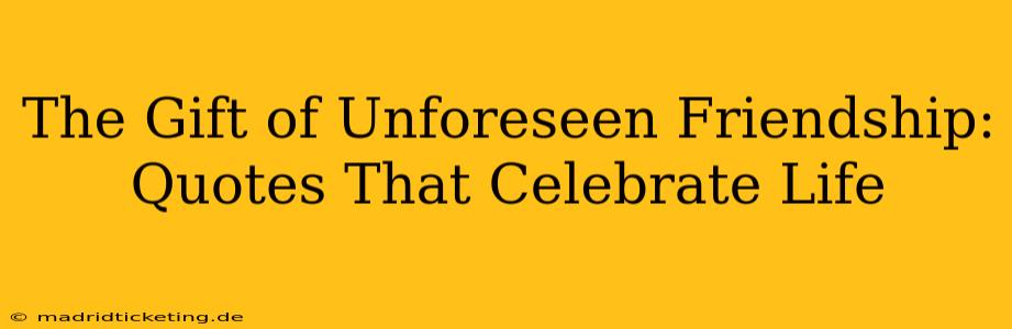 The Gift of Unforeseen Friendship: Quotes That Celebrate Life