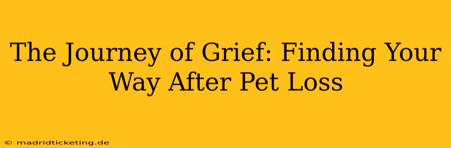 The Journey of Grief: Finding Your Way After Pet Loss