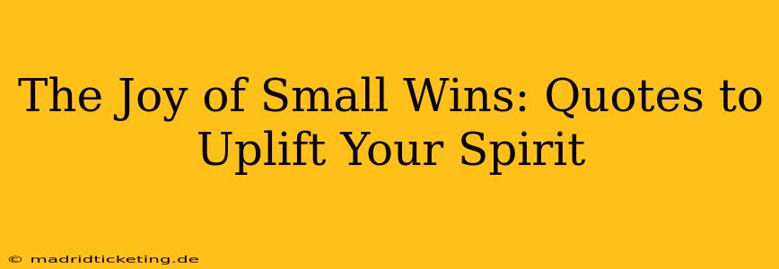 The Joy of Small Wins: Quotes to Uplift Your Spirit