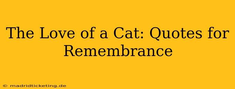 The Love of a Cat: Quotes for Remembrance