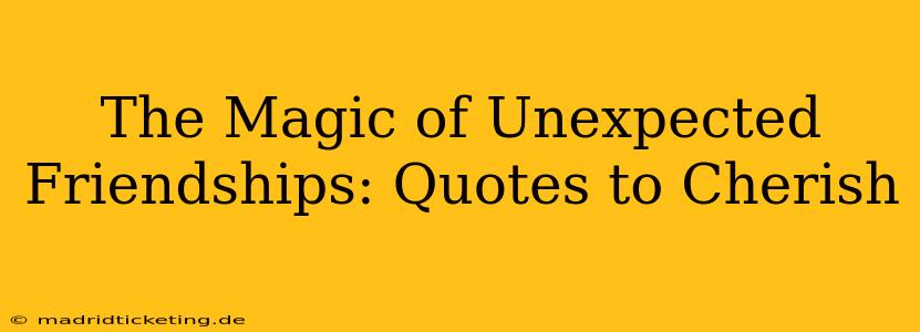 The Magic of Unexpected Friendships: Quotes to Cherish