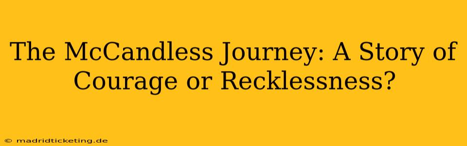 The McCandless Journey: A Story of Courage or Recklessness?