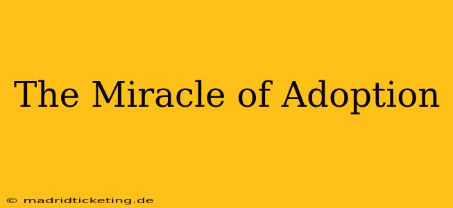The Miracle of Adoption