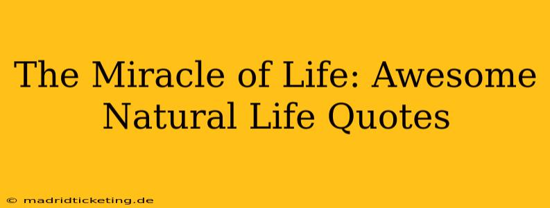 The Miracle of Life: Awesome Natural Life Quotes