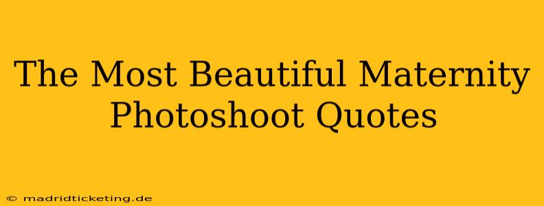 The Most Beautiful Maternity Photoshoot Quotes
