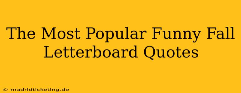 The Most Popular Funny Fall Letterboard Quotes