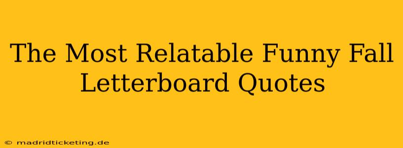 The Most Relatable Funny Fall Letterboard Quotes