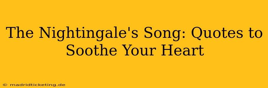 The Nightingale's Song: Quotes to Soothe Your Heart