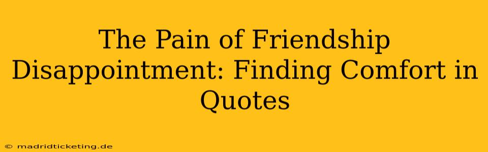 The Pain of Friendship Disappointment: Finding Comfort in Quotes