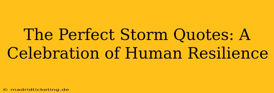 The Perfect Storm Quotes: A Celebration of Human Resilience
