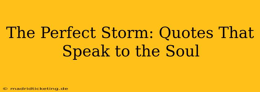 The Perfect Storm: Quotes That Speak to the Soul