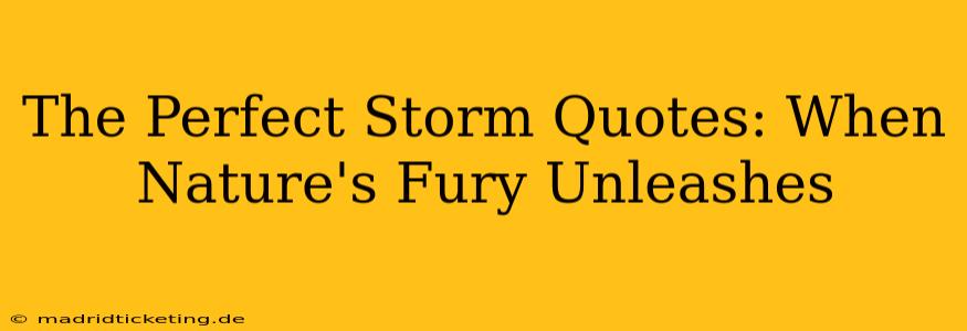 The Perfect Storm Quotes: When Nature's Fury Unleashes