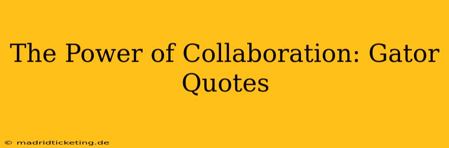 The Power of Collaboration: Gator Quotes